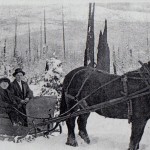 Erik Erikson family with sleigh