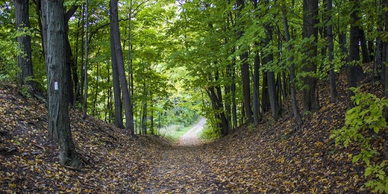 Volunteers Needed – Eagle River Nature Park